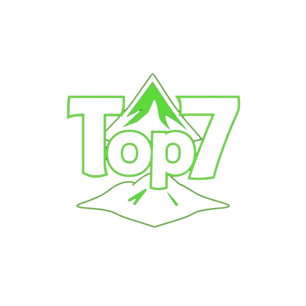 Top7 Logo